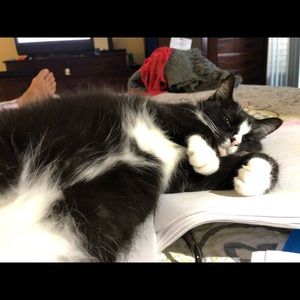 Meet your Posher, Andrea